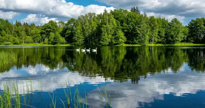 破防了！8岁哥哥抱4个月弟弟坐地铁