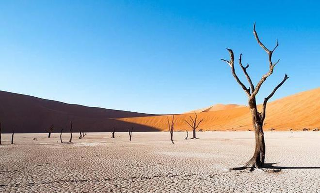 品味巴基斯坦：文化与美食的隐秘之旅