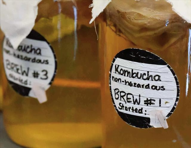 康普茶的微生物揭秘：新研究显示其具有消除脂肪的魔力