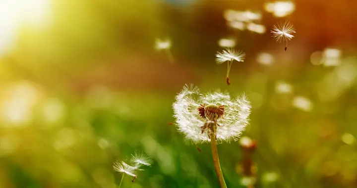 一个人改变自己最快的方式：打扮自己