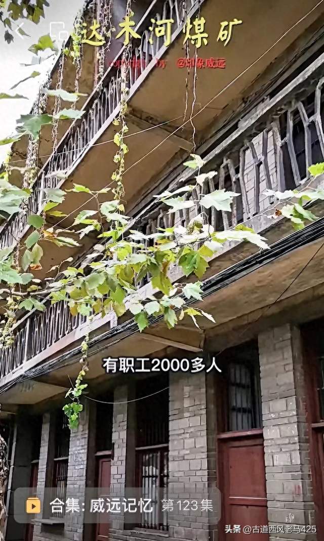 达木河煤矿：难忘的人生第一课