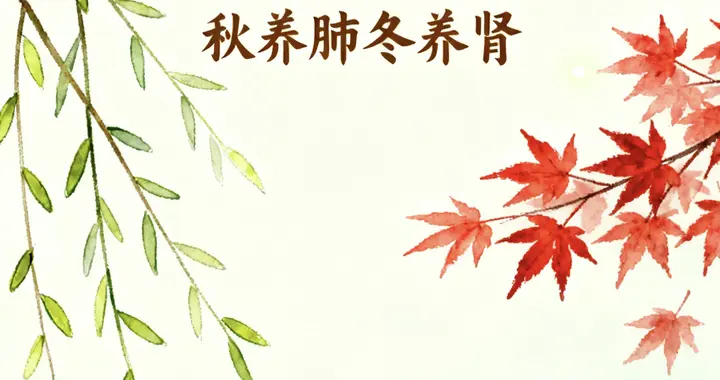 养生顺口溜收藏整理（其一）