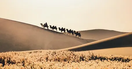 句句不提想念，句句都是想念