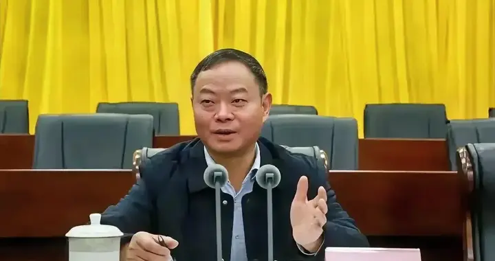 突发！退休3个月后主动投案！厅官周琳的“迟来忏悔”有用吗？