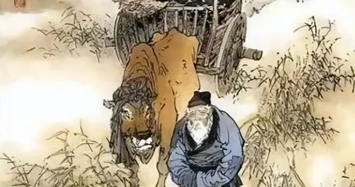 宋朝砍光了华北的树，然后意外开启了一场能源革命