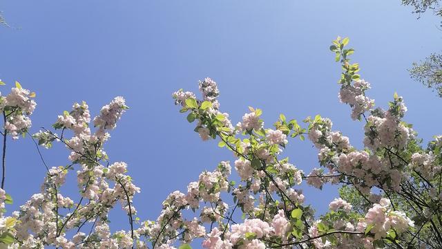 海之般若：终于忙完一天的工作，收拾战场