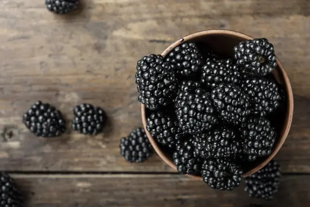 桑葚，其实是一味厉害的补药！现在吃最好