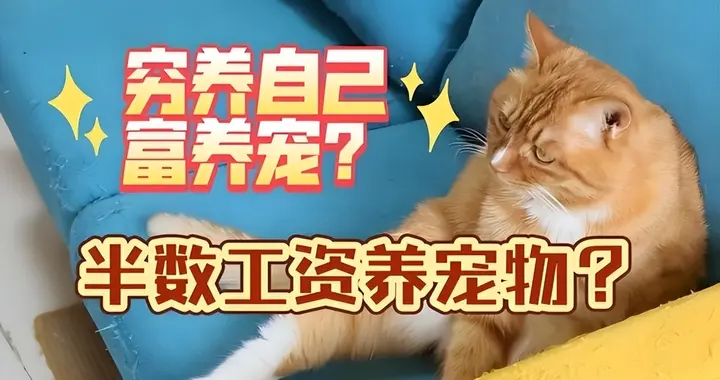 穷养自己富养宠？年轻人宁愿养猫养狗不养娃，背后原因扎心了