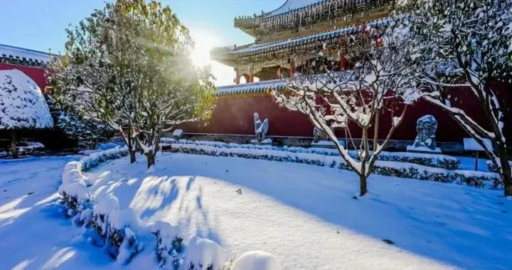 一场冬雪，一片素白，一次清欢