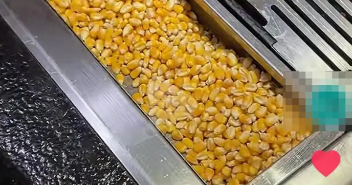 烟台烤肉店称玉米燃料环保助农，种地老农却表不满，反差因何而来