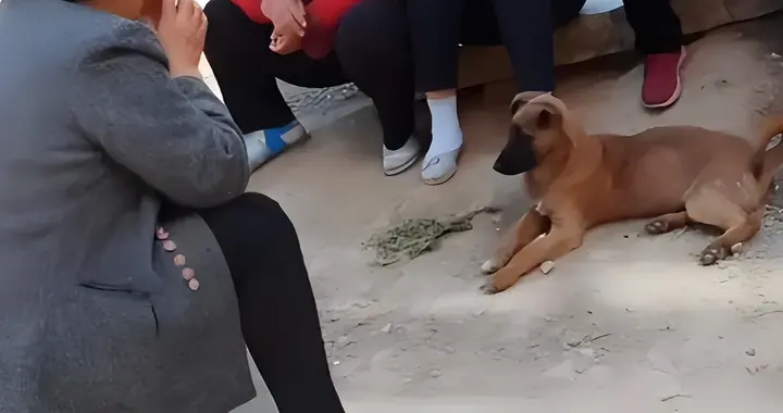 一个家庭最大的悲哀，是父母五六十岁了，还泄露家庭的这三个秘密