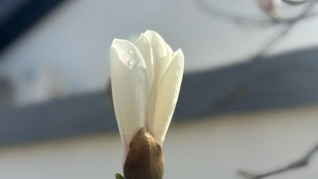 八月文山：为啥你天天拼命干活，就是赚不到