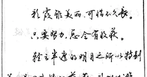 沈鸿根(江鸟)钢笔行书