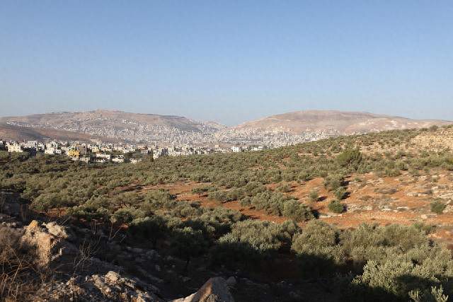 以军连续在约旦河西岸多地开展行动 关闭道路且突袭医院