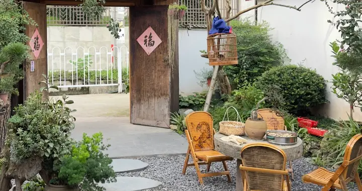 后半生最好的活法：像树一样，扎根小院！