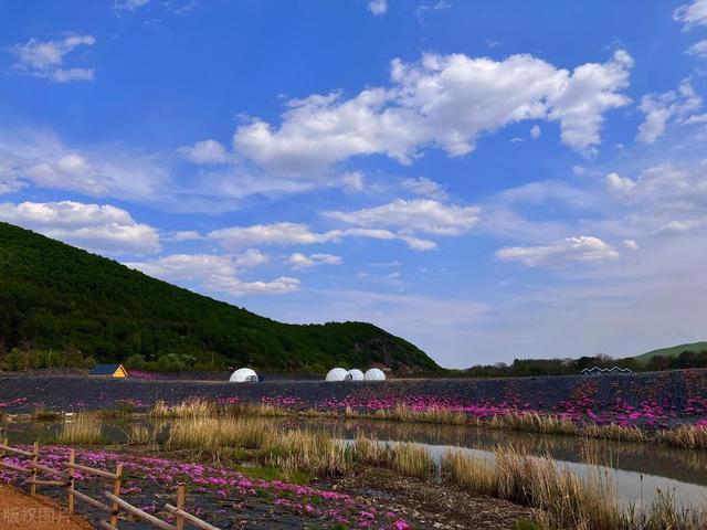 万金山