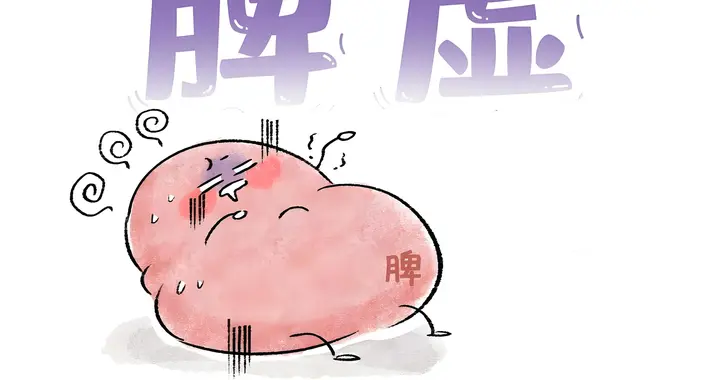 脾胃运化不好怎么调理