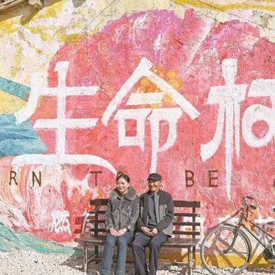 枫叶：生命树取景地接待超15万人次  一