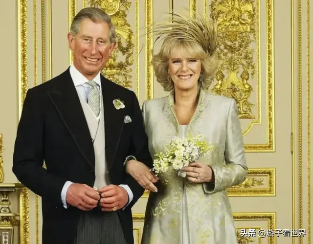 没想到，查尔斯和卡米拉结婚20周年，骂就骂吧，反正他们也快80了