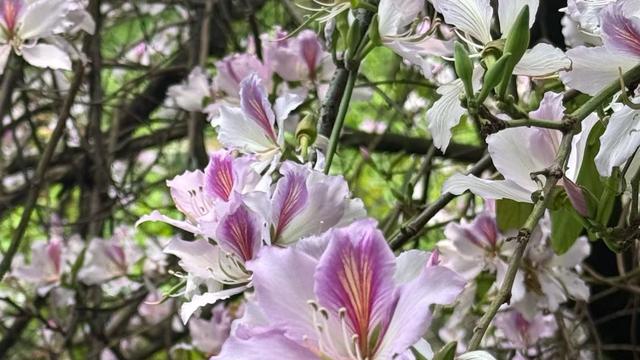 八月文山：是不是总觉得，想靠自己的本事