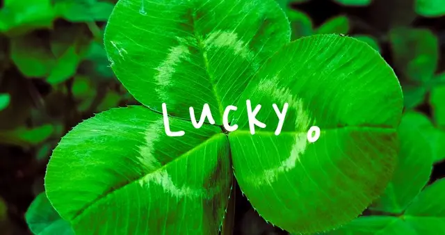 不必规划好一切，你家孩子，比你想象中更幸运、更遇时机