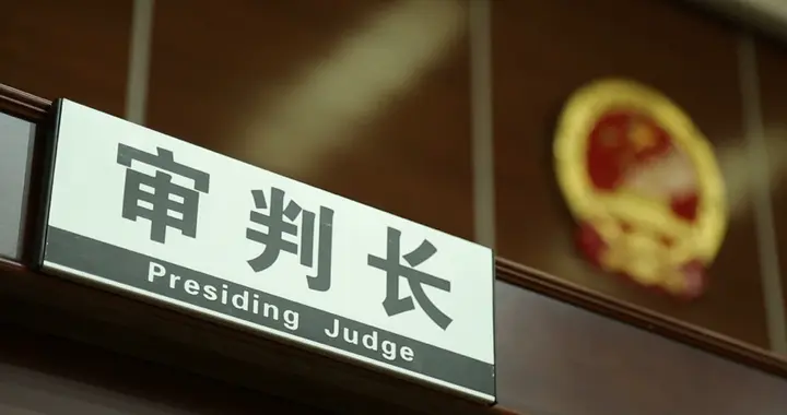 10岁儿童骑车撞伤老人致残，谁来担责？法院判了