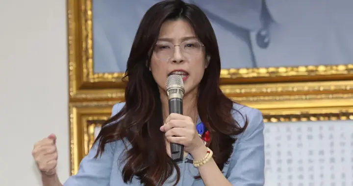 突发！赖清德开始抓人，国民党13人被带走，郑丽怒批赖清德13分钟