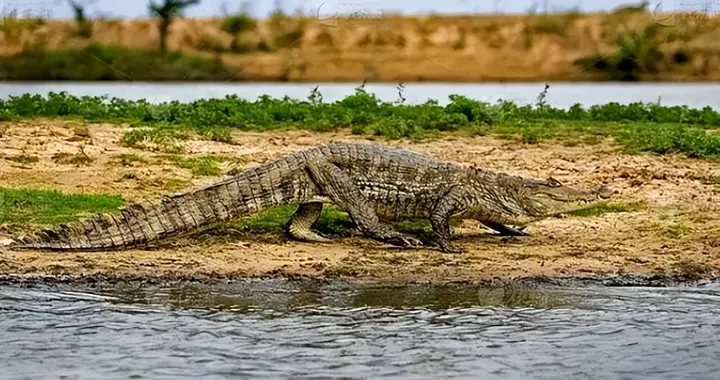 回国了我才敢说：委内瑞拉，是我去过的所有国家中，最被看轻的！