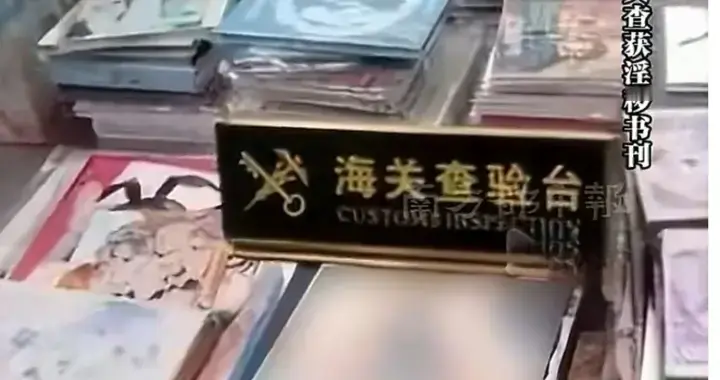 人肉背回244本淫秽漫画，代购不是法外之地，判刑大快人心！