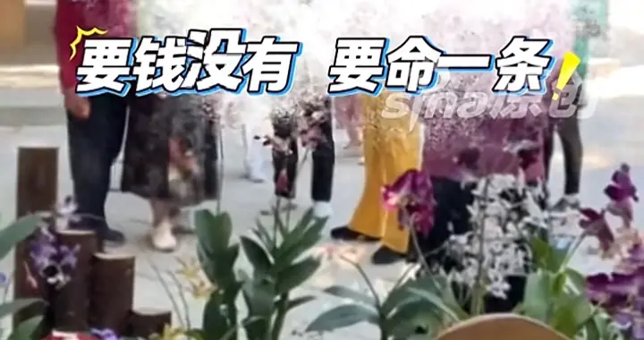 大妈折断花店的花后拒绝赔偿，子女赶来后叫嚣:要钱没有 要命一条