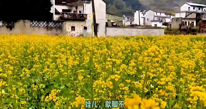 探索最美中国，乡村公路上的宝藏古盘！