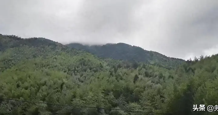 国家林业和草原局内设机构概览