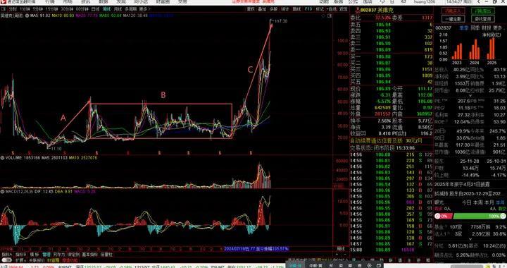 2025年牛股盘点点评之二：英维克