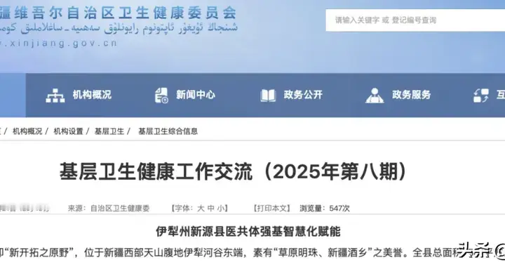 新疆医改破冰：新源县“541”年薪制的实践与启示