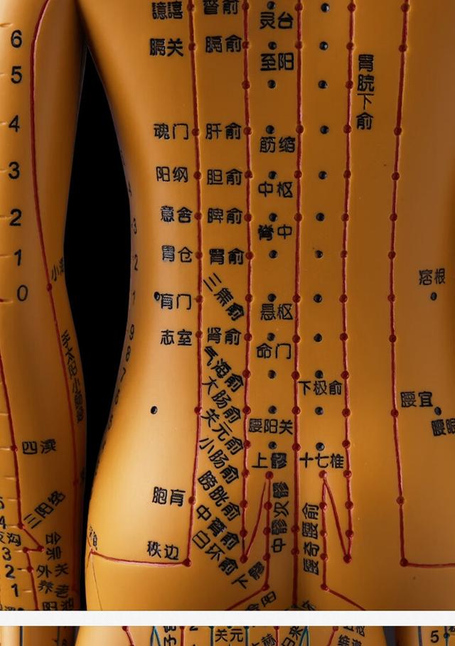 中医说的人体穴位是否真的存在？