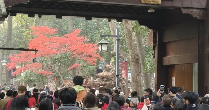 灵隐寺免票应该，飞来峰免票没必要