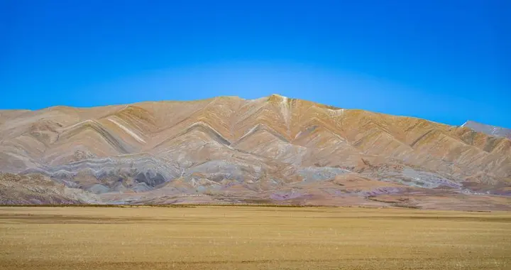 外籍专家马晓立（Marie-LuceChevalier）深耕青藏高原...