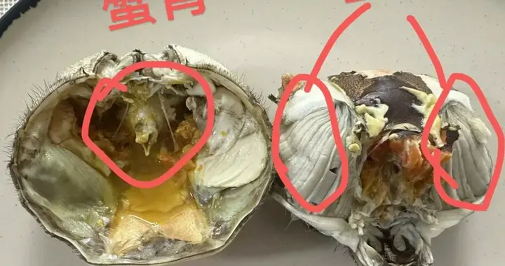 吃螃蟹别乱掀腮，普通人不在意，老蟹农道出多年实情