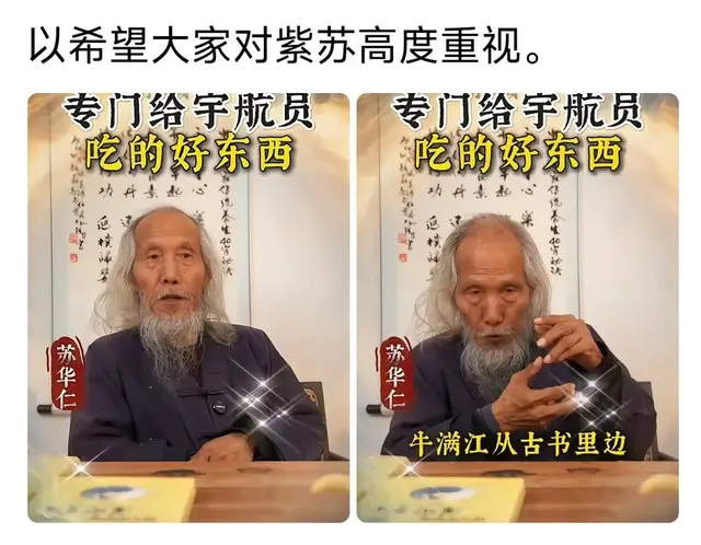 牛满江推荐“紫苏”给航天员和潜艇员食用？别造谣了！