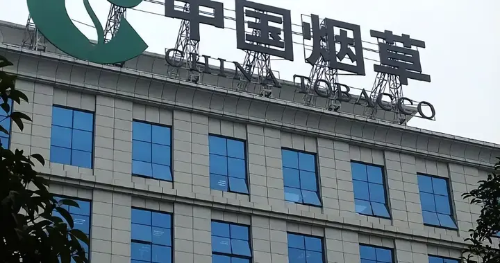 一天进账43个亿，一年算下两本账：国家为什么下决心严控烟？