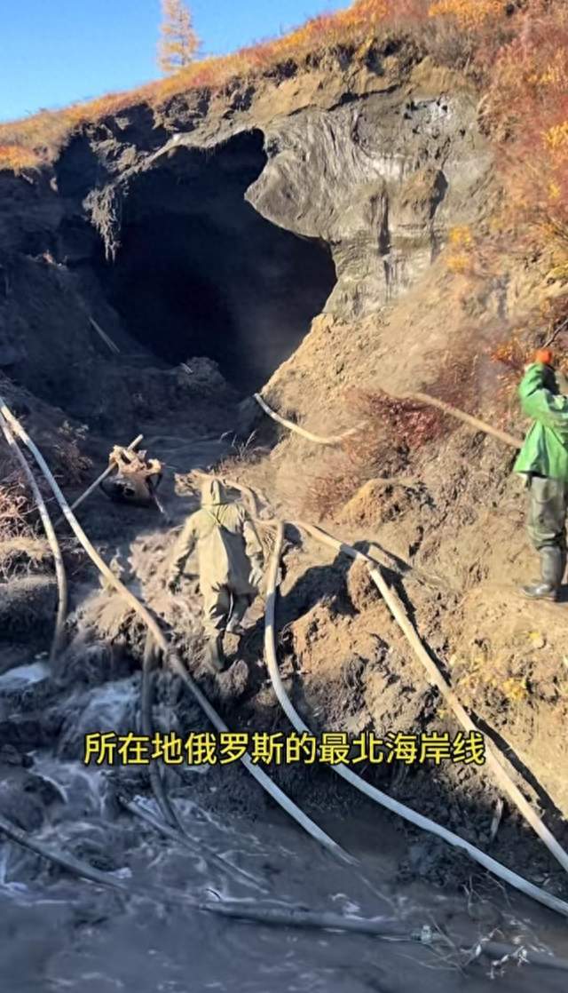 2025年俄罗斯猛犸象牙挖掘现状怎么样？凄惨