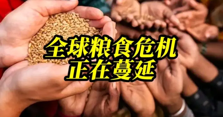 摩根大通警告：“5个W”作用下，全球粮食危机已形成。中国不担心