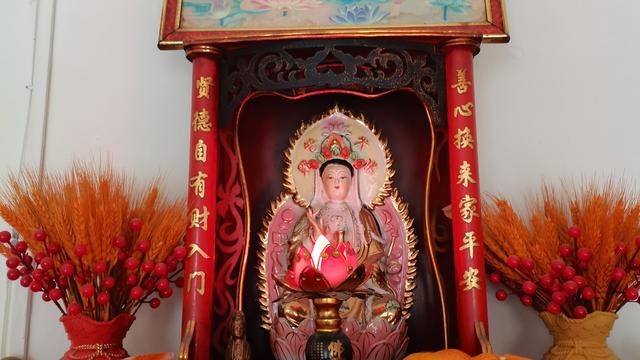 紫精馨月：，需要的是陪伴还是金