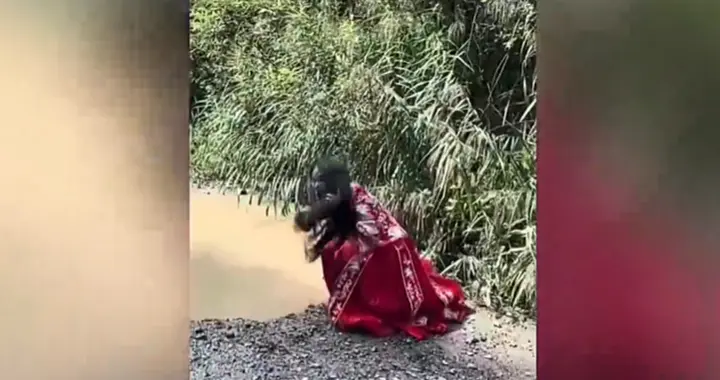 “美女，我不是坏人，别跑啊”！男子称在深山发现流浪女：披头散发、身穿喜...