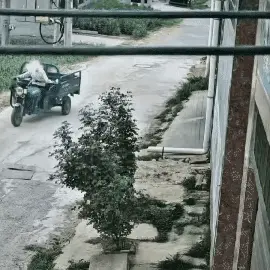 今朝醉：为了蝇头小利，人为制造安全隐患