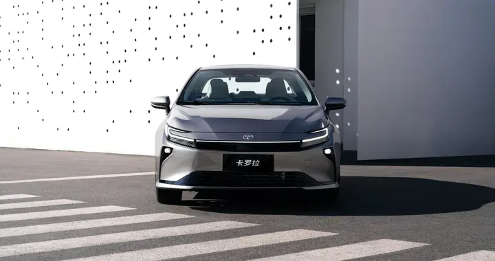 全球5000万车主没骗我！卡罗拉春游记：省油耐造，家庭用车好搭档