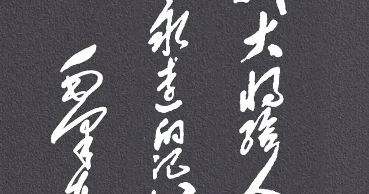 这12个大字，有三个字我没有看出来，大家帮忙认认