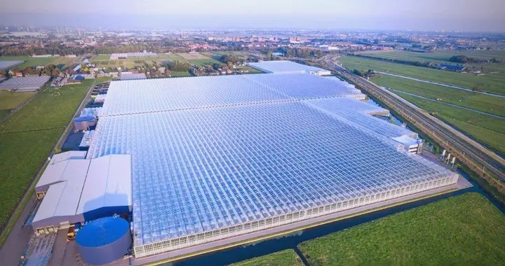 什么是半封闭智能温室？跟其他温室有什么区别？
