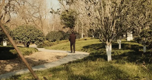 钟南山:散步30分钟，关节炎和高血糖风险提升？