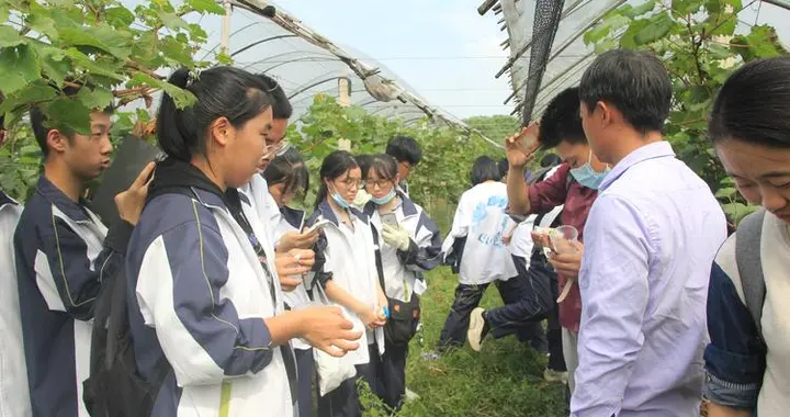 洛阳一高中研学被指区别对待，只让好学生去，教育局：系试点活动